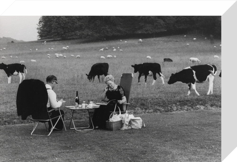 Glyndebourne stretched canvas small none Art Print - Science Museum Shop