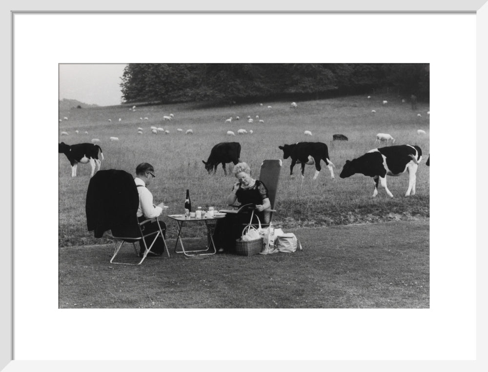 Glyndebourne art print medium white Art Print - Science Museum Shop