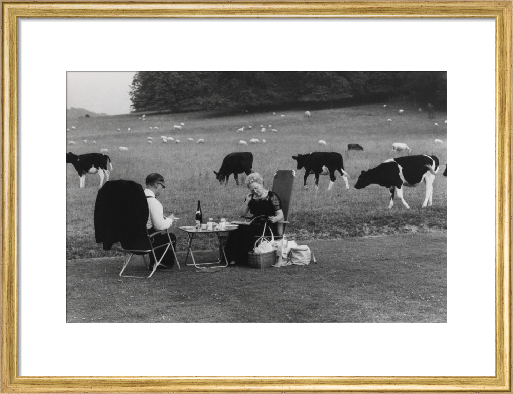 Glyndebourne art print medium gold Art Print - Science Museum Shop