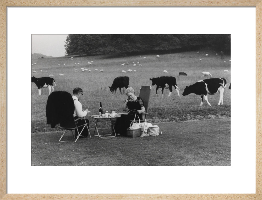 Glyndebourne art print medium natural Art Print - Science Museum Shop