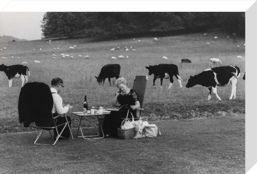 Glyndebourne stretched canvas medium none Art Print - Science Museum Shop