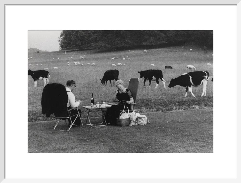 Glyndebourne art print large white Art Print - Science Museum Shop