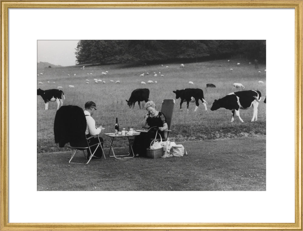 Glyndebourne art print large gold Art Print - Science Museum Shop