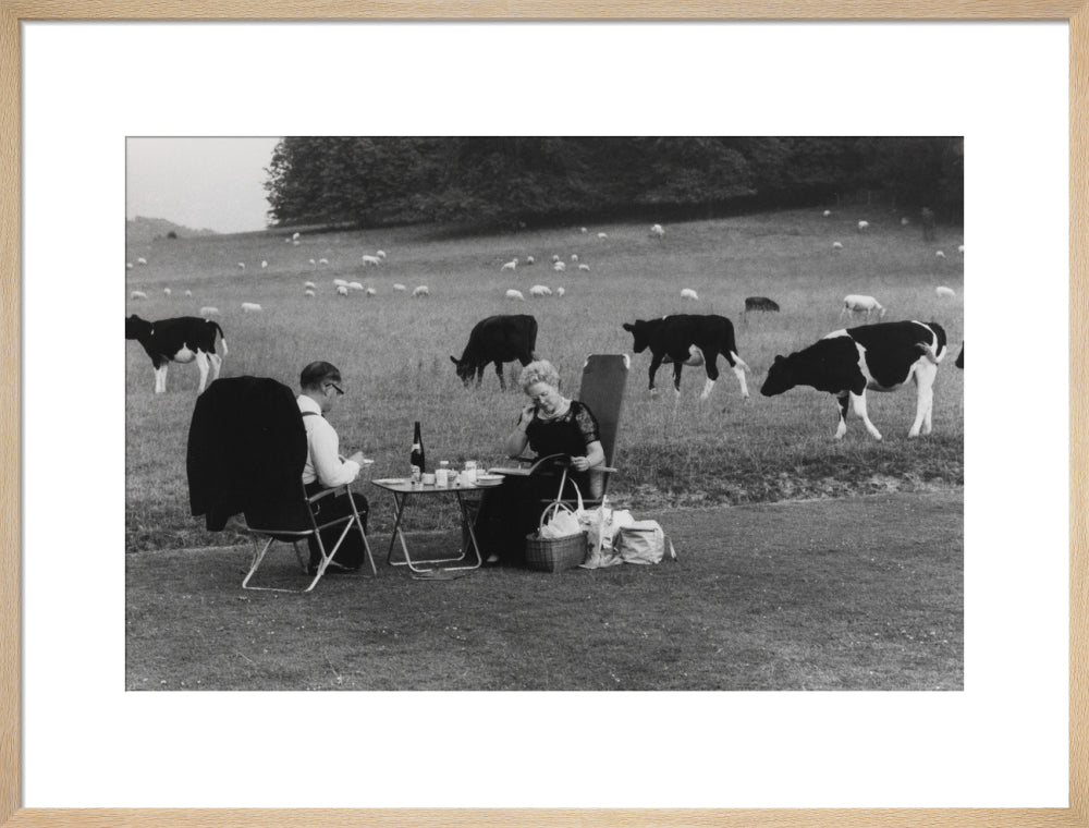 Glyndebourne art print large natural Art Print - Science Museum Shop