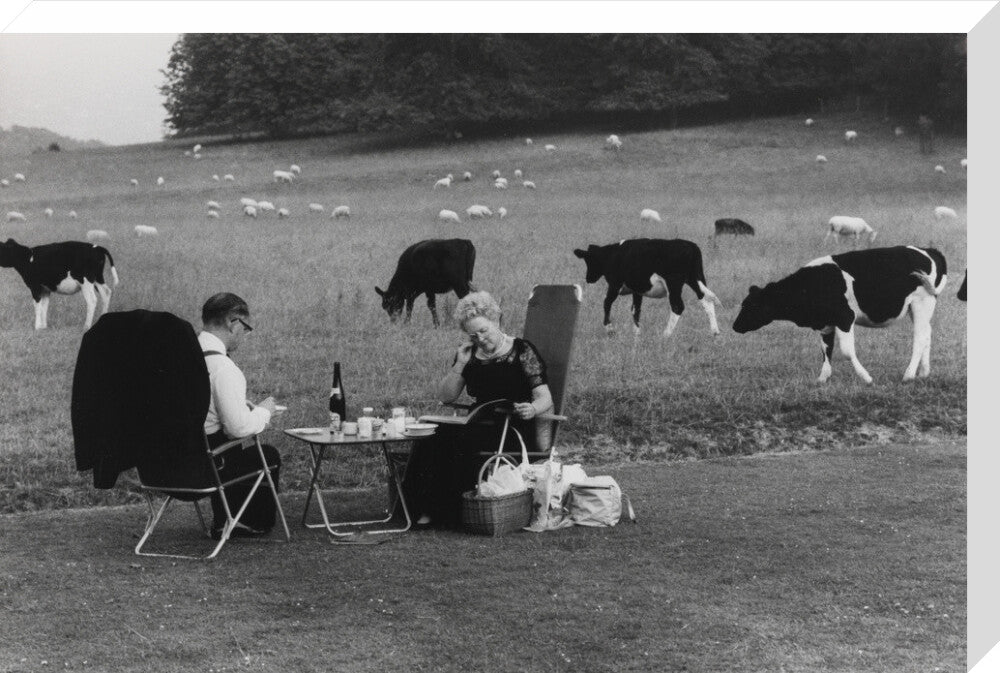 Glyndebourne stretched canvas large none Art Print - Science Museum Shop