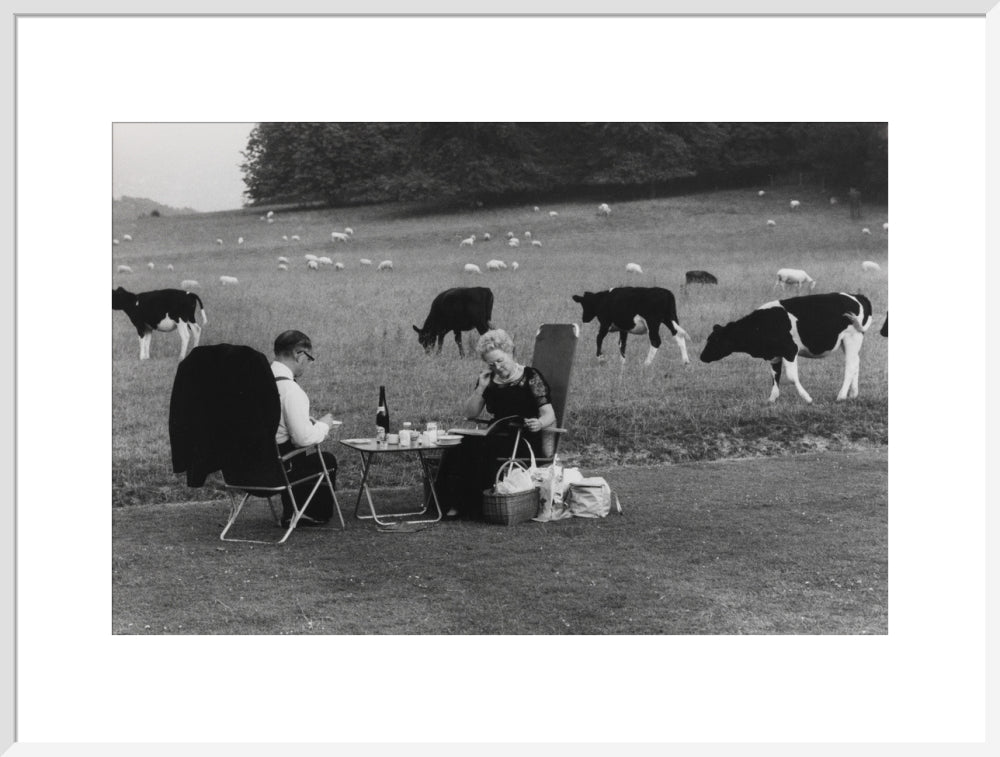 Glyndebourne art print extra large white Art Print - Science Museum Shop