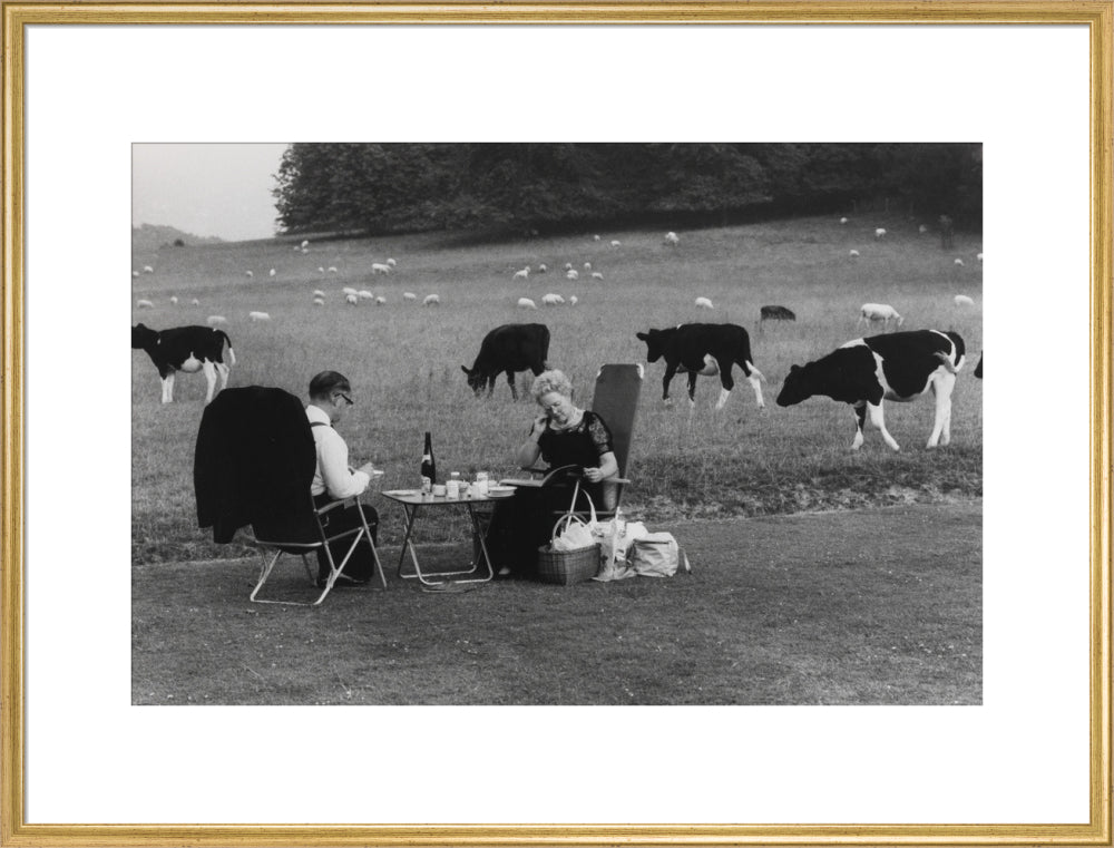 Glyndebourne art print extra large gold Art Print - Science Museum Shop