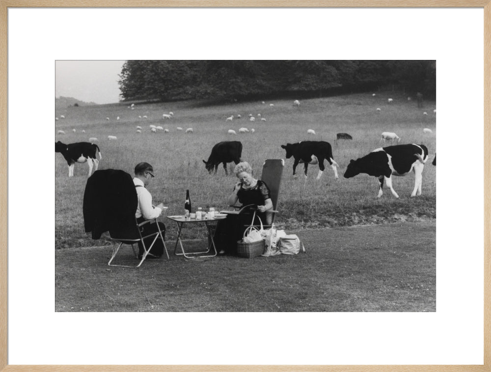 Glyndebourne art print extra large natural Art Print - Science Museum Shop