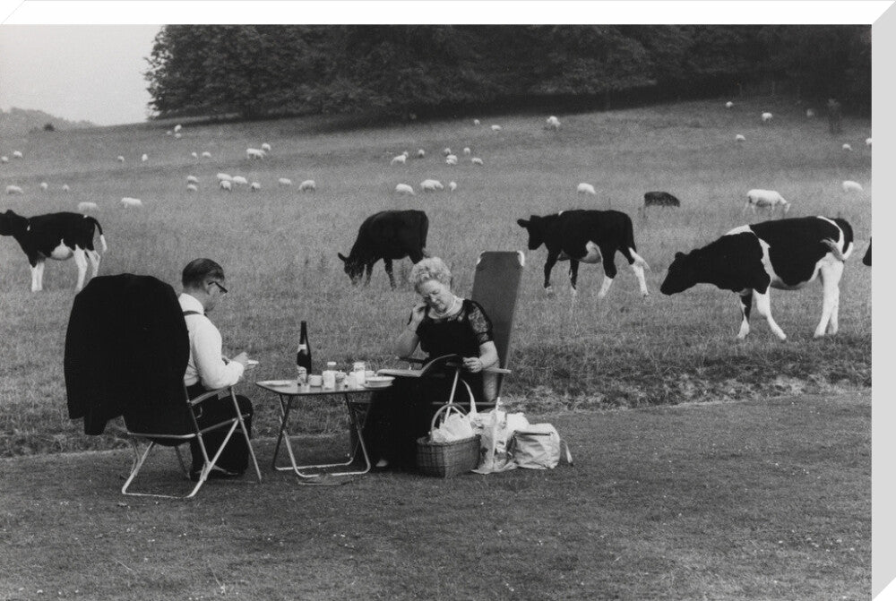 Glyndebourne stretched canvas extra large none Art Print - Science Museum Shop