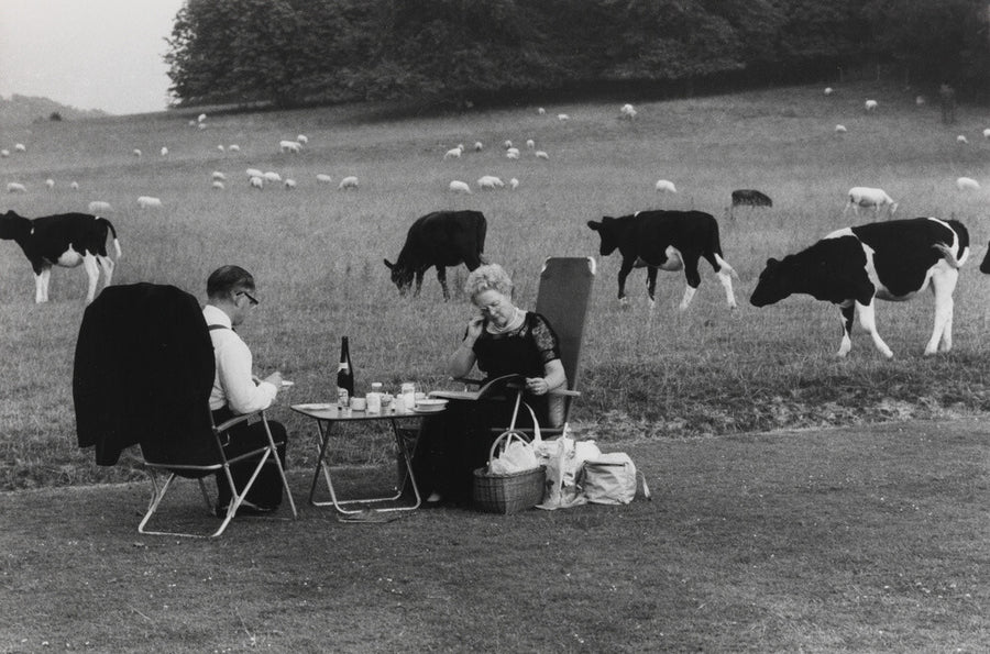 Glyndebourne Art Print - Science Museum Shop