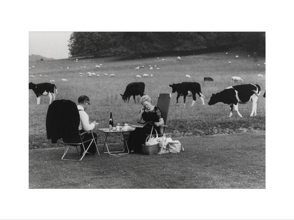 Glyndebourne art print extra large none Art Print - Science Museum Shop