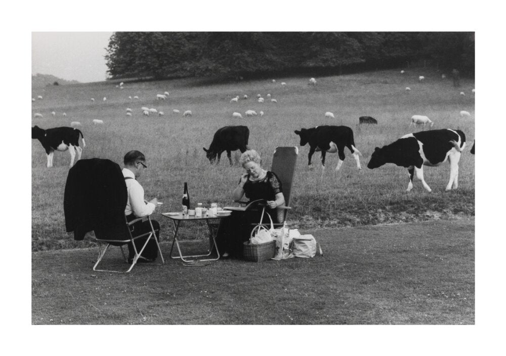 Glyndebourne unstretched canvas extra large none Art Print - Science Museum Shop