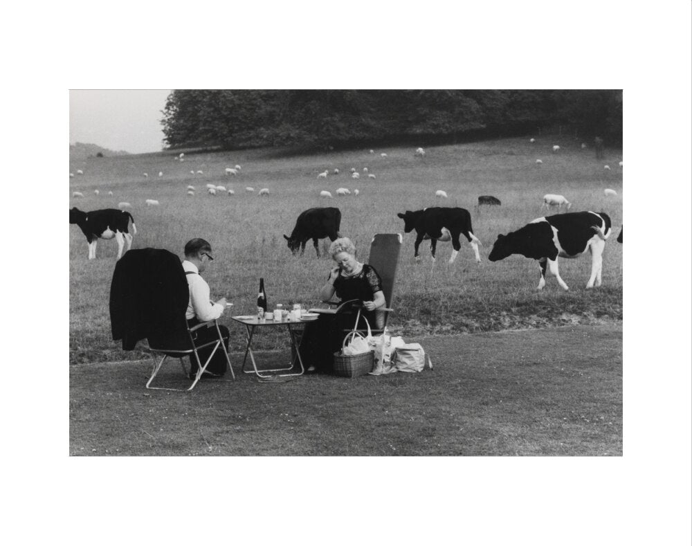 Glyndebourne art print extra small none Art Print - Science Museum Shop