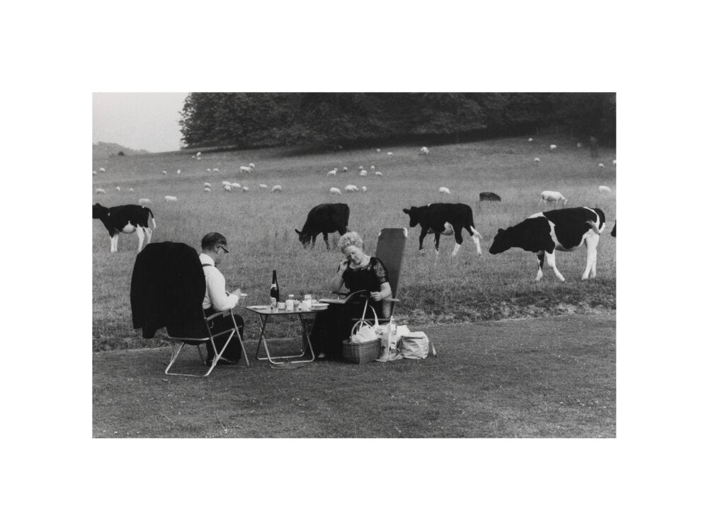 Glyndebourne unstretched canvas small none Art Print - Science Museum Shop