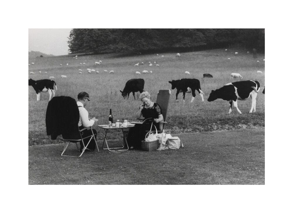 Glyndebourne unstretched canvas medium none Art Print - Science Museum Shop