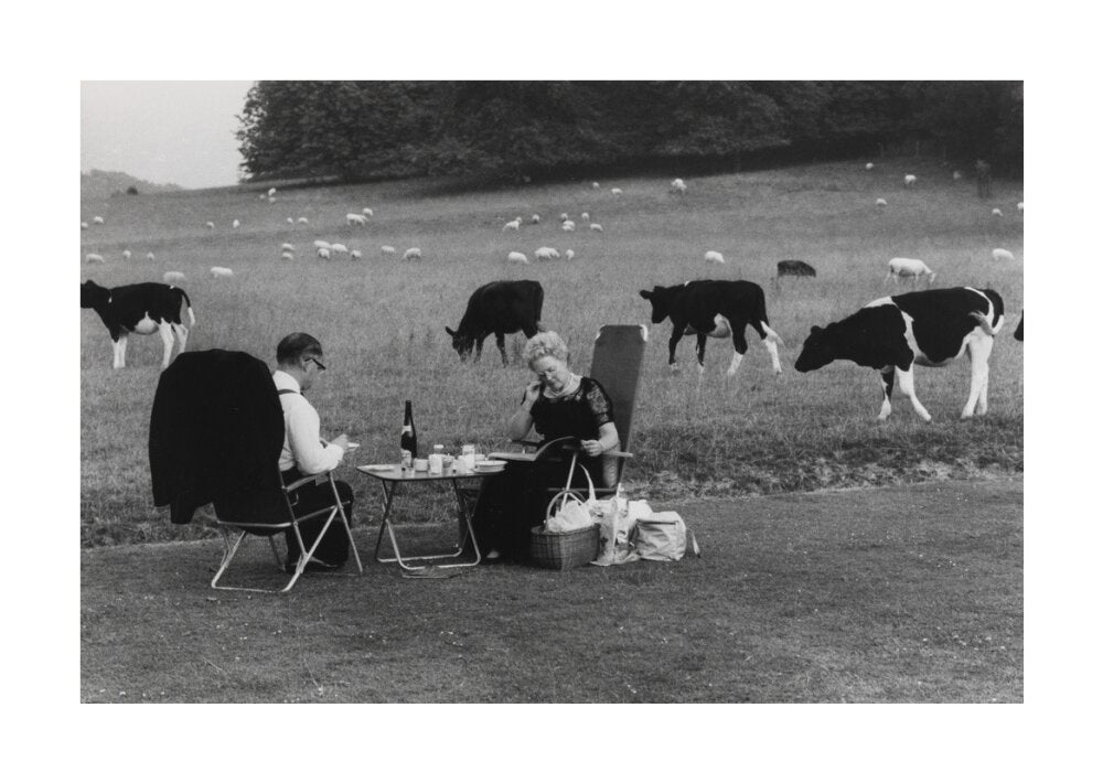 Glyndebourne unstretched canvas large none Art Print - Science Museum Shop