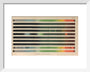 Plate II, Radiation and Absorption Spectra, 1878. art print extra small white Art Print - Science Museum Shop