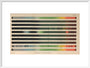 Plate II, Radiation and Absorption Spectra, 1878. art print large white Art Print - Science Museum Shop