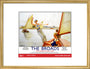 New Lockdown Travel Poster - The Broads art print medium gold Art Print - Science Museum Shop