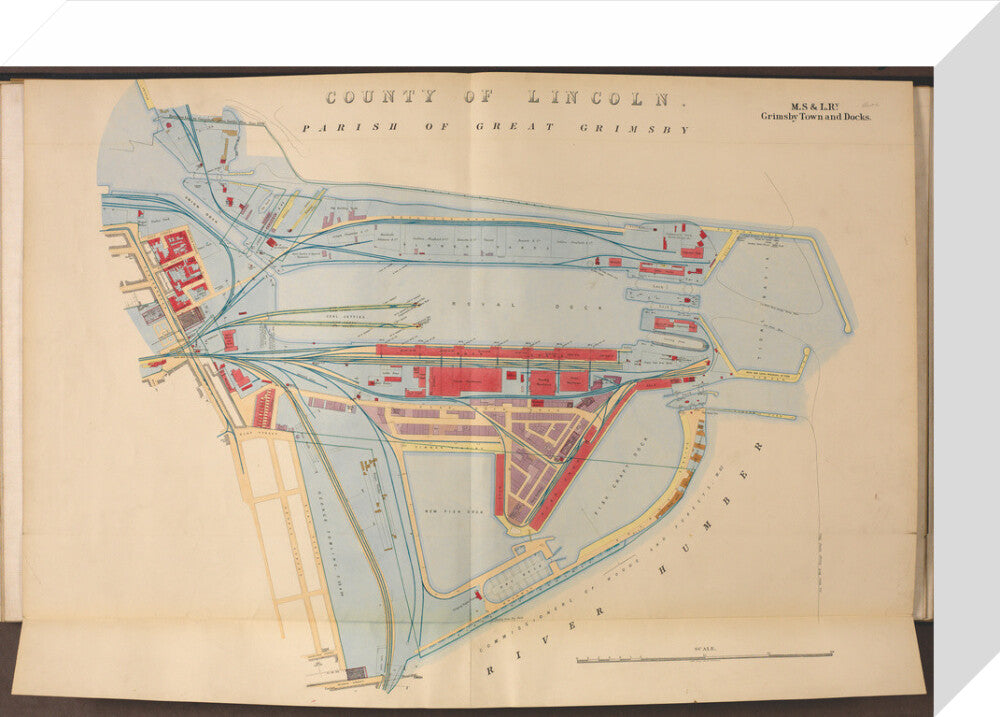 Plan of Grimsby Town and Docks including the Royal Dock, Union Dock, etc, 1885. stretched canvas small none Art Print - Science Museum Shop