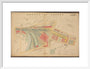 Plan of Marylebone station and surrounding area including platforms and offices, stables, goods shed and offices, etc, 1901. art print medium white Art Print - Science Museum Shop