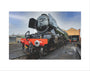LNER 4-6-2 No. 60103 'Flying Scotsman' locomotive heading into overhaul. art print extra small none Art Print - Science Museum Shop