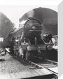 'Flying Scotsman', No 4472, 24 July 1933. stretched canvas small none Art Print - Science Museum Shop