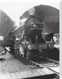'Flying Scotsman', No 4472, 24 July 1933. stretched canvas large none Art Print - Science Museum Shop