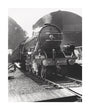 'Flying Scotsman', No 4472, 24 July 1933. unstretched canvas large none Art Print - Science Museum Shop