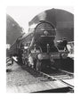 'Flying Scotsman', No 4472, 24 July 1933. unstretched canvas extra large none Art Print - Science Museum Shop
