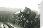 'Flying Scotsman' stretched canvas small none Art Print - Science Museum Shop