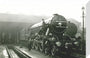'Flying Scotsman' stretched canvas medium none Art Print - Science Museum Shop