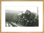 'Flying Scotsman' art print large gold Art Print - Science Museum Shop