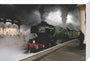 LNER 4-6-2 No. 4472 'Flying Scotsman'. stretched canvas medium none Art Print - Science Museum Shop