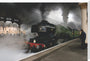 LNER 4-6-2 No. 4472 'Flying Scotsman'. stretched canvas extra large none Art Print - Science Museum Shop