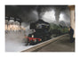 LNER 4-6-2 No. 4472 'Flying Scotsman'. unstretched canvas extra large none Art Print - Science Museum Shop