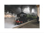 LNER 4-6-2 No. 4472 'Flying Scotsman'. art print small none Art Print - Science Museum Shop