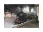 LNER 4-6-2 No. 4472 'Flying Scotsman'. unstretched canvas medium none Art Print - Science Museum Shop