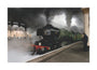 LNER 4-6-2 No. 4472 'Flying Scotsman'. unstretched canvas large none Art Print - Science Museum Shop