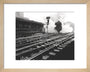 Flying Scotsman, 1963 art print extra small natural Art Print - Science Museum Shop