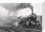 Flying Scotsman leaves Kings Cross, May 1968 stretched canvas small none Art Print - Science Museum Shop