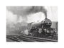 Flying Scotsman leaves Kings Cross, May 1968 unstretched canvas medium none Art Print - Science Museum Shop
