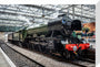 Flying Scotsman at Waverley Station, Edinburgh to celebrate the centenary. stretched canvas medium none Art Print - Science Museum Shop
