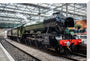 Flying Scotsman at Waverley Station, Edinburgh to celebrate the centenary. stretched canvas large none Art Print - Science Museum Shop