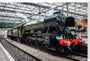 Flying Scotsman at Waverley Station, Edinburgh to celebrate the centenary. stretched canvas extra large none Art Print - Science Museum Shop