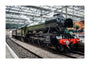 Flying Scotsman at Waverley Station, Edinburgh to celebrate the centenary. unstretched canvas extra large none Art Print - Science Museum Shop