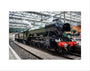 Flying Scotsman at Waverley Station, Edinburgh to celebrate the centenary. art print extra small none Art Print - Science Museum Shop