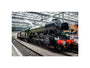 Flying Scotsman at Waverley Station, Edinburgh to celebrate the centenary. unstretched canvas small none Art Print - Science Museum Shop