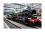 Flying Scotsman at Waverley Station, Edinburgh to celebrate the centenary. unstretched canvas large none Art Print - Science Museum Shop