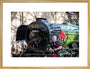 Kevin MacDonald from the Red Hot Chilli Pipers beside Flying Scotsman. art print large gold Art Print - Science Museum Shop